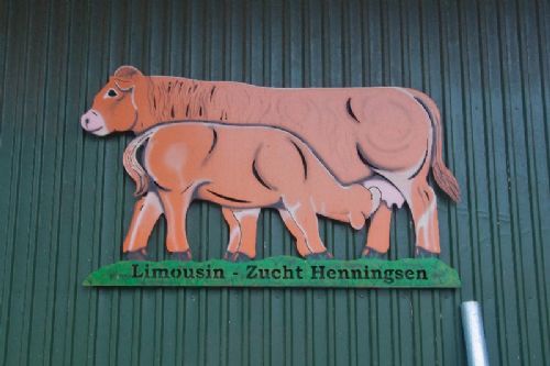 Efterårsmøde - Imponerende bomærke hos Limousin Zucht Henningsen i Hürup øst for Flensborg. Her er 55 køer i næsten nye stalde. Pollethed er et vigtigt avlsmål. På gården er der desuden slagtesvineproduktion.