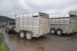 England-Scotland 2013 - Mange af limousinerne blevet transporteret til auktion i trailere som disse.