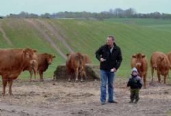 Kødkvægets Dag - Phillip og far Thomas mellem dyrene