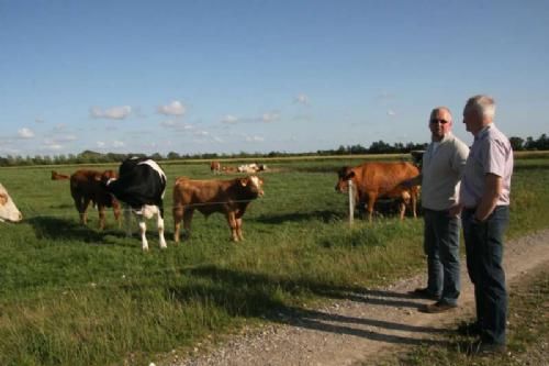 Stemningsbilleder - Niels Andreas Nielsen er tidligere mælkeproducent og driver i dag et landbrug på 80 hektar med knap 30 ammekøer af racen Simmental samt krydsninger. Ved siden af feder han ca. 70 SDM kalve fra en nabolandmand