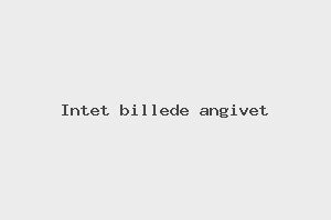 Billede af Næsøre Poll Alf