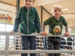 De yngste blandt publikum legede i ringen før auktionen