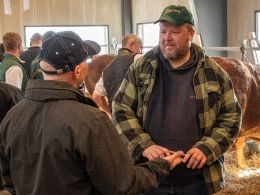 Avler til avler snak bag auktionsdyrene