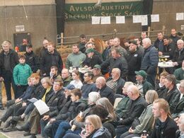 Stemningsbllede - man ser et meget opmærksomt og koncentreret publikum