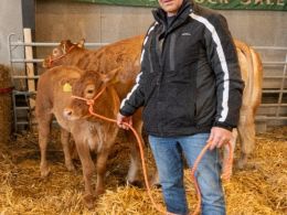 Med dette billede af Alex Jepsen, som købte både en tyr og koen med kalv, en stor tak til årets købere. Tak også til alle, der bidrog på den ene eller den anden måde til årets limousineauktion