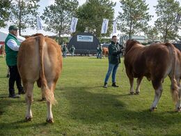 07-Tyre 24 - 3 0 mdr. Fløjvinder (tv) Løserupgård UffeP fra Jakob Sandholm Hansen, Holbæk