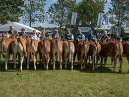 11-Kvier 6 - 8 mdr. Fløjvinder (tv) Høivang Vickey fra Høivang Limousine, Thisted