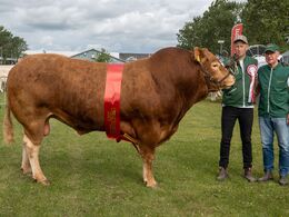 36-Bedste ældre tyr blev Ryde Talent P P fra Mogens Ladefoged, Tistrup