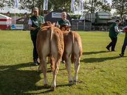 03-Tyre 6 - 8 mdr. Fløjvinder (tv) Hodde Valentino fra Mogens Ladefoged, Tistrup