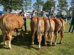 1 4 – Kvier 12 - 14 mdr. Fløjvinder (tv) Mølgaards Viola fra Malene og Frederik Mølgaard, Frederikshavn