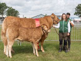 48 – Bedste ko over fem år blev Bøgely Ronja fra Bøgely Limousine, Brørup