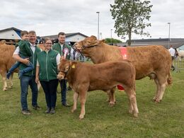 46 – Bedste ko mellem tre og fem år blev Birkely Soffi fra Grunnet Limousine, Billund