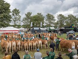 54 – Billeder fra øvrige konkurrencer – herunder parkonkurrence, besætningskonkurrence og regionskonkurrence – findes i galleriet Stemning.