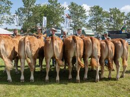 1 5 – Kvier 14 - 16 m dr. Fløjvinder (tv) Skovlund Vaga fra Skovlund Limousine , Toftlund