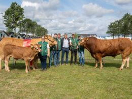 53-Opstilling med bedste hundyr og bedste handyr 2025