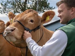 09-Næseklemmer til hundyr har nu for alvor vundet indpas