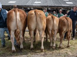 21-Afkomsfremstilling – afkom efter Liban