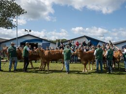 03-Så skal der vises bevægelse