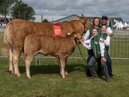 16-Vinderbilleder i solskin er bare sjovere – se engang dette ” familiefoto ”