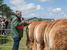 06-Dommer Sebastian Lagrafeuil var meget grundig i sine bedømmelser