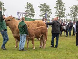 39-Stor jubel også hos trækkeren af årets Interbreed vinder hundyr