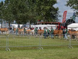 05-Derefter hjem til staldene