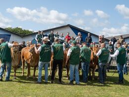 04-Så skal man stå stille