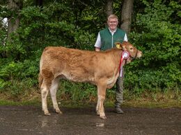 06 – kat16 34 – Høivang Adele, fra Høivang Limousine, Thisted