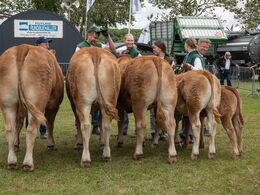 22 - Besætningsgruppe - NR2 - fra Stenbjerg Limousine, Fam. Thaysen, Østbirk