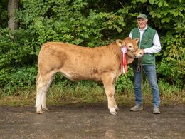 08 – kat16 48 - Engtoftegård Victoria , fra Anders Lange, Mørke