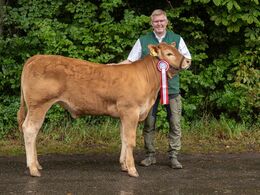 07 – kat16 37 - Høivang Vickey, fra Høivang Limousine, Thisted