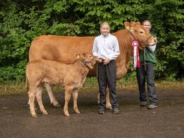 28 - Stenbjerg Otelia m kalv , ført af Karoline og Kirsten Thaysen, Østbirk blev Intensiv Senior Hundyr Champion i All breed ungdomsshow og fik Viking Danmark prisen for bedste intensive hundyr efter en insemineringstyr.