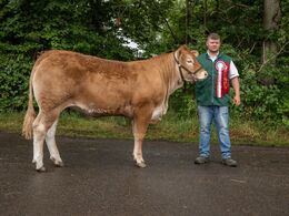 10 – kat16 67 - Skovlund Vaga, f ra Skovlund Limousine, v. Søren Paulsen, T oftlund