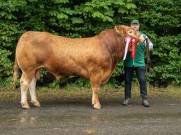 04 – kat16 25 - 1 - Løserupgaard Uffe P , fra Jakob Sandholm Hansen, Holbæk