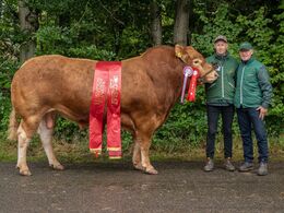 05 – kat16 27 – Ryde Talent PP - bedste ældre tyr, bedste handyr , fra Mogens Ladefoged, Tistrup