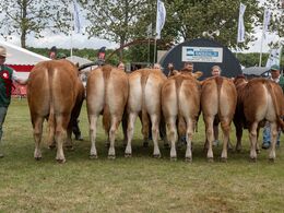 2 1 - B esætningsgruppe - NR1 – fra Skovlund Limousine, v. Søren Paulsen, Toftlund
