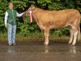 15 – kat1 689 - Sundsig Unika P, fra Sundsig Limousine v. Amalie & Kenn Thygesen, Janderup