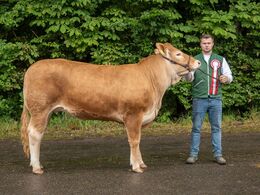 13 – kat1 682 – Krogens Unika, fra Krogens Limousine v. Fam. Smidt, Ferrit slev Fyn