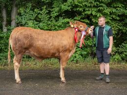 14 – kat1 685 - Arden Unik, fra Casper Thorsen, Arden