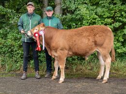 01 – kat16 16 – Hodde Valentino , fra Mogens Ladefoged , Tistrup