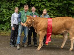 11 – kat16 68 - Stenbjerg Vilja P , Bedste yngre kvie. Fra Stenbjerg Limousine, Fam. Thaysen, Østbirk
