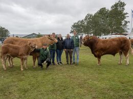 Opstilling med bedste hundyr og bedste handyr 2025 – Bedste hundyr, Birkely Soffi fra Grunnet Limousine, Billund. Bedste handyr Karensminde Ubbe fra Matias Friis Ebbesen, Ribe. Med på billedet er og repræsentant fra den svenske limousineforening samt den 