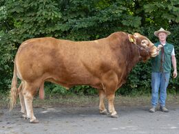 05–kat1656– Skovlund Ryan, fra Skovlund Limousine, v. Søren Paulsen, Toftlund