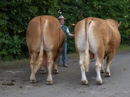 19-Bedste par fra Skovlund Limousine, v. Søren Paulsen, Toftlund
