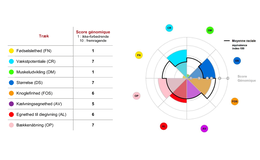 Genomisk test hundyr