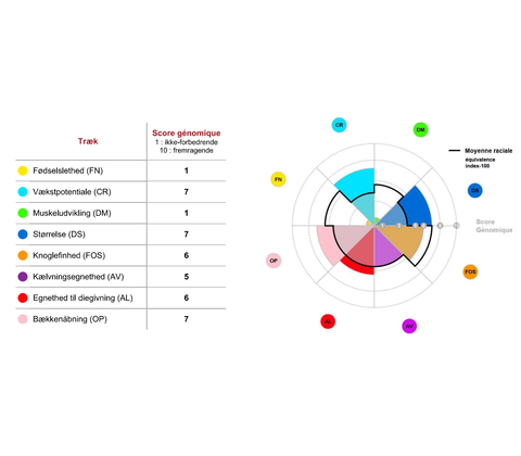 Genomisk test hundyr