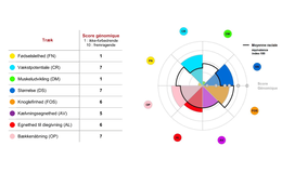 Genomisk test hundyr