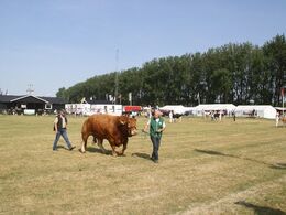 Tyre over 36 mdr.: Gunnar Paulsen, Agerskov, 22 point