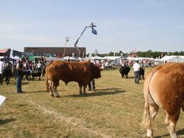 Tyre over 36 mdr.: Gunnar Paulsen, Agerskov, 22 point