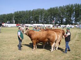 Alle dem som var med i ærespræmie konkurrencen.